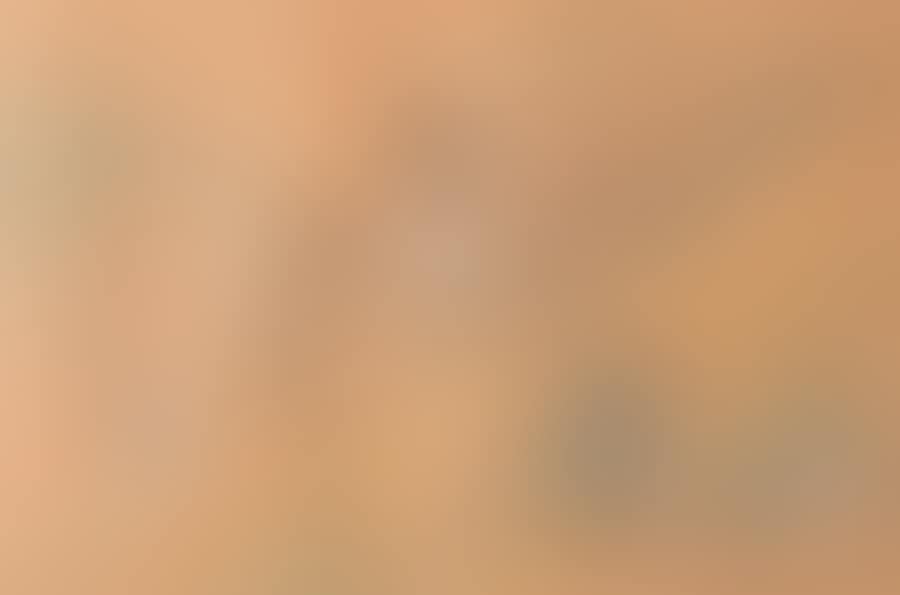Study of palm trees (preview)
