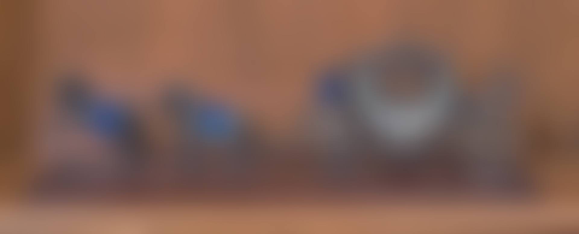 A carriage (preview)