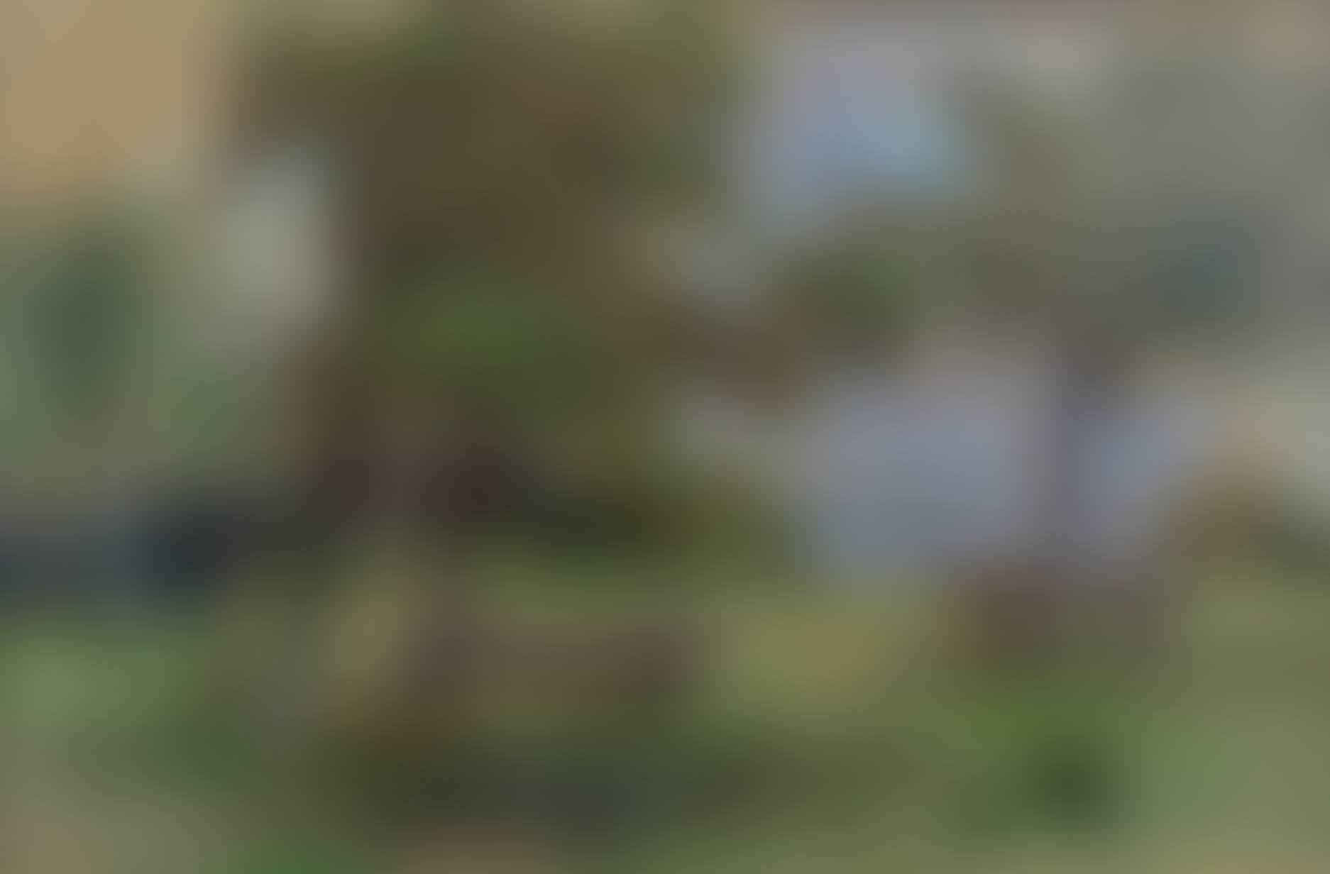 Near Saint-Siméon (preview)