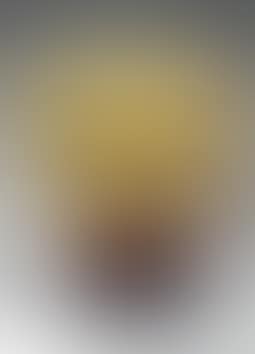 Ovoid vase (preview)