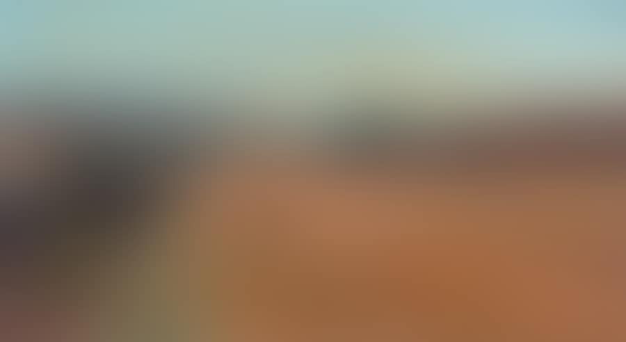 Figures in a field (preview)