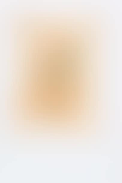 Cover of the Original Print (right part) (Wittrock 96) (preview)