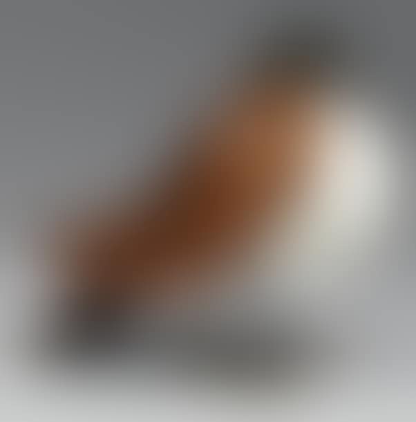Pigeon lamp (preview)
