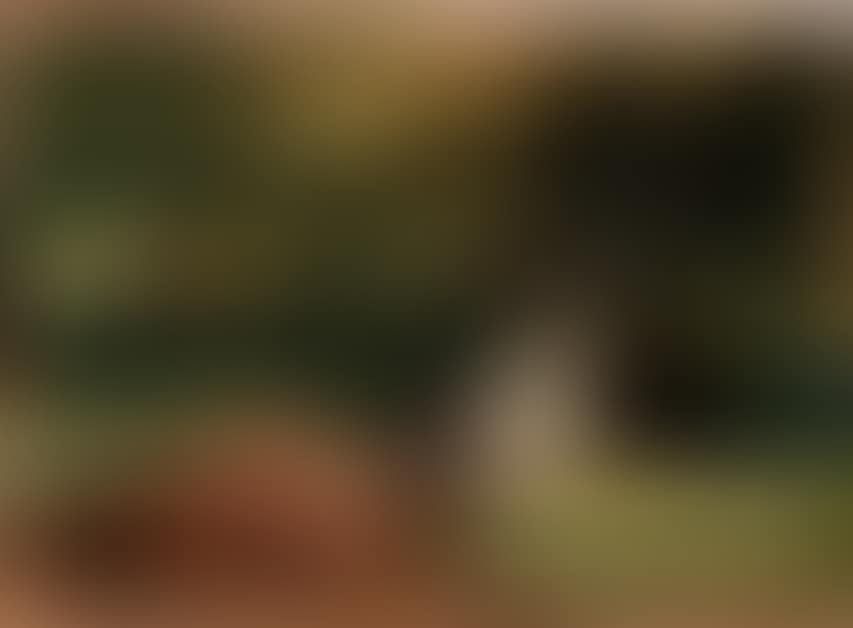 The windfall (preview)
