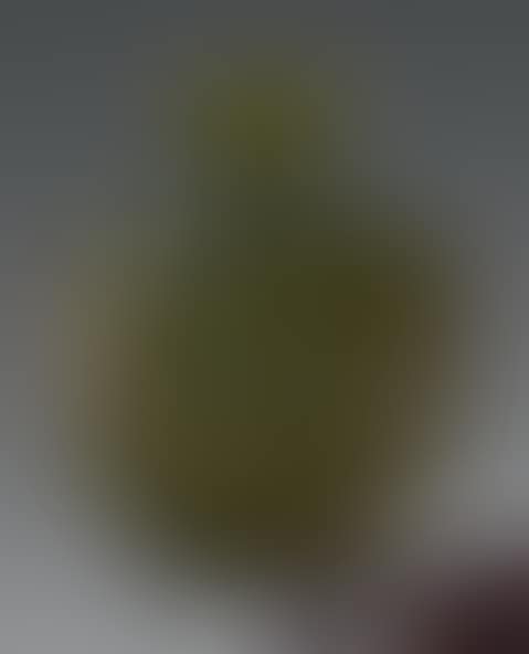 Gourd vase with a constricted neck (preview)