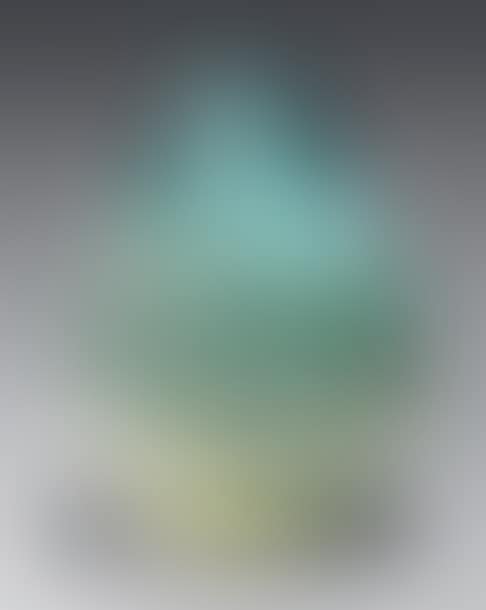 Piriform vase with slightly flared neck (preview)