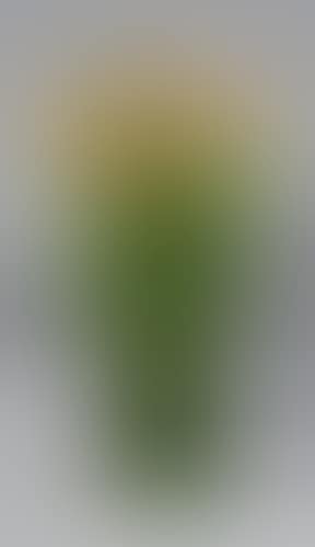 Vase in green shaded glass paste with a Iris decoration (preview)