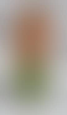 Vase with square section (preview)