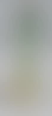 A baluster vase on an overhanging heel (preview)
