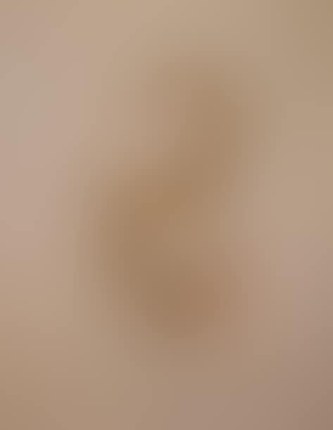 Young girl with reversible body, Series of Mirror of Dreams (preview)