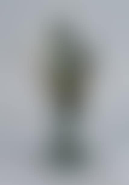 ZEUS MACHO (preview)
