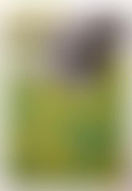 Untitled (preview)