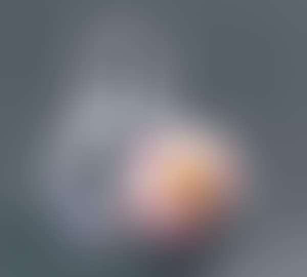 FLOWER BALL (preview)