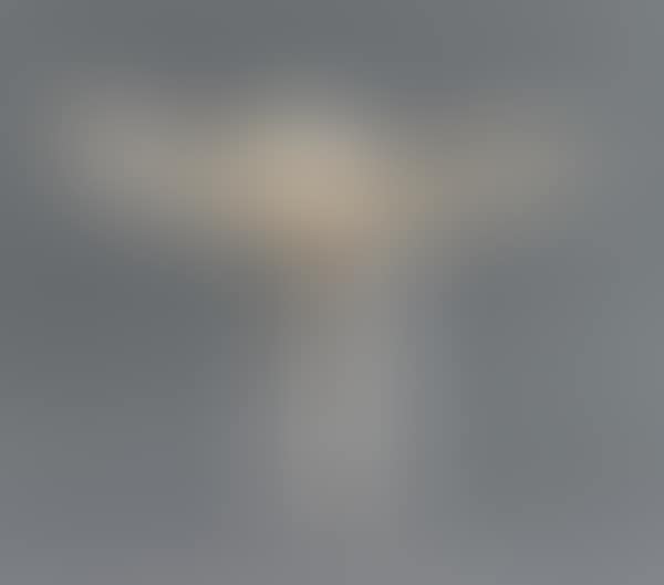 AREA 50 LAMP (preview)