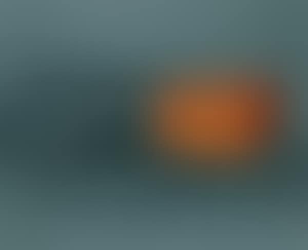 BUREAU CM141 (preview)