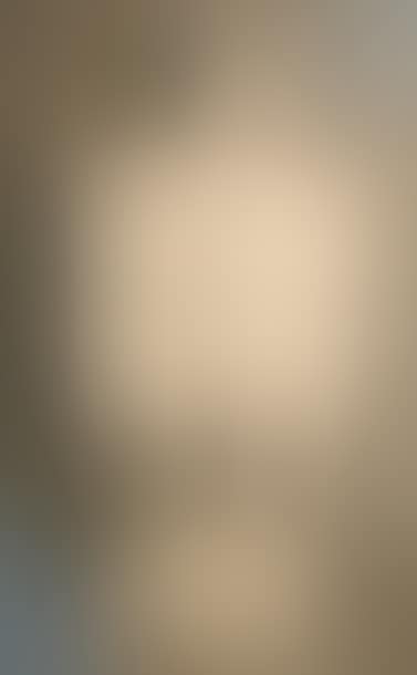 Hermaphrodipterus (preview)