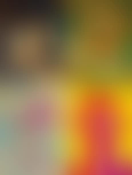 THE BEATLES (preview)