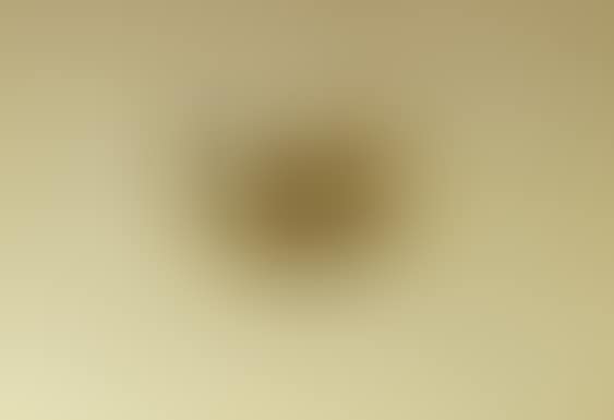 ET HEGER DE LOWENFELD PROCRIS - TRIBUTE TO BRAQUE"S JEWELRY (preview)