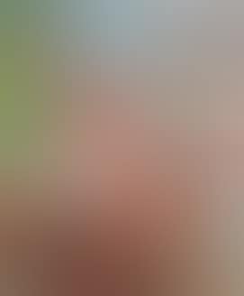 UNTITLED (preview)