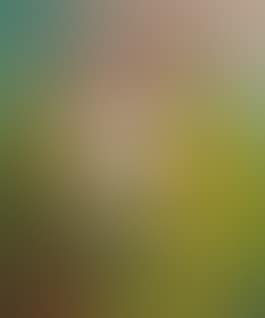 UNTITLED (preview)