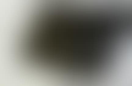 UNTITLED (REF L.222 SF.221) (preview)
