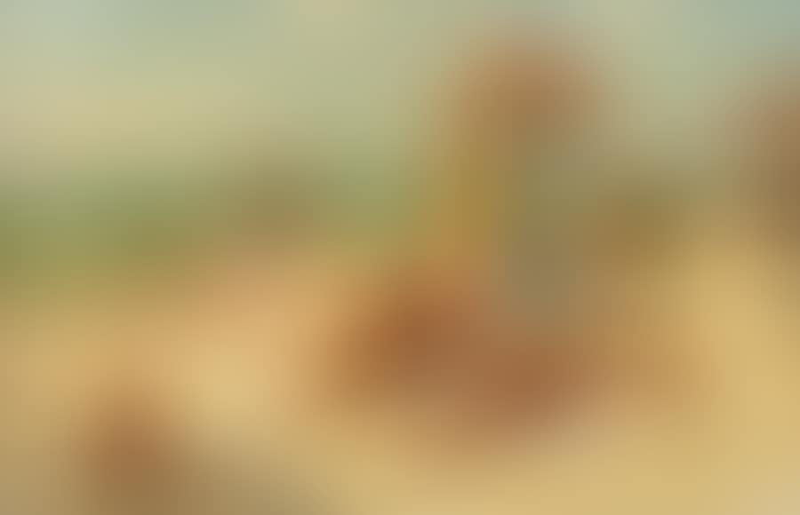 The Beach (preview)