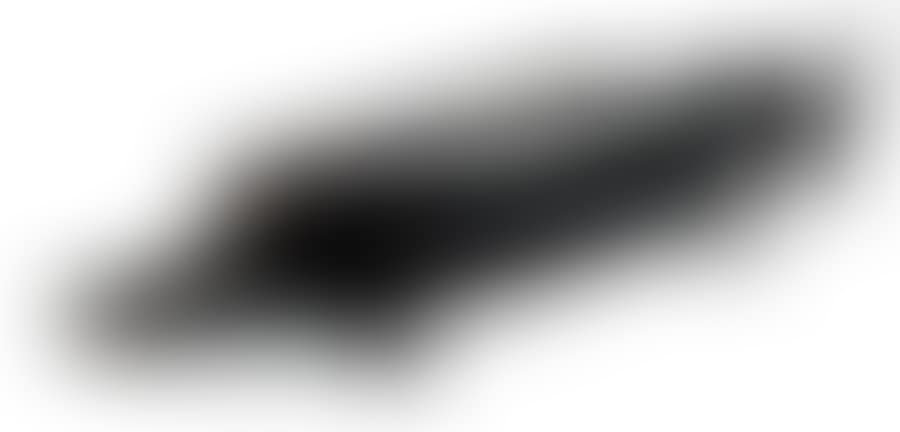 Sturgeon (preview)