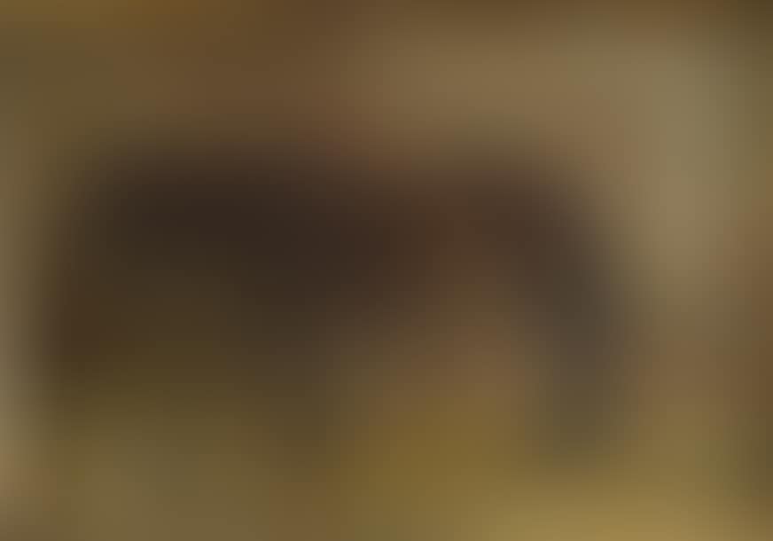 Horse in the stable (preview)