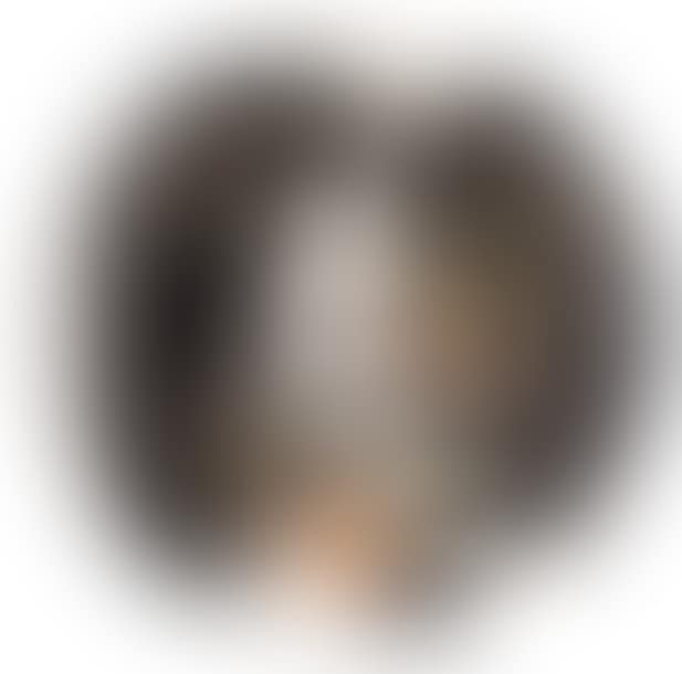 F2 (preview)