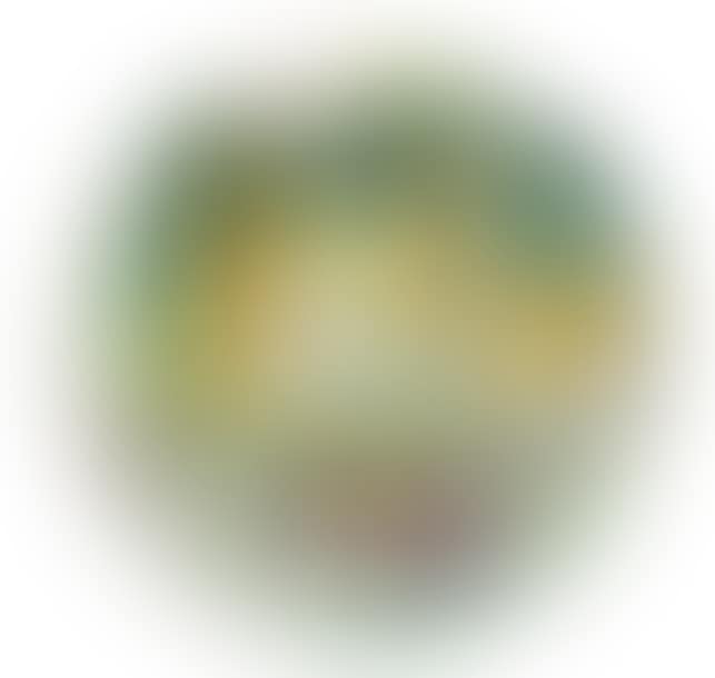 F1 (preview)