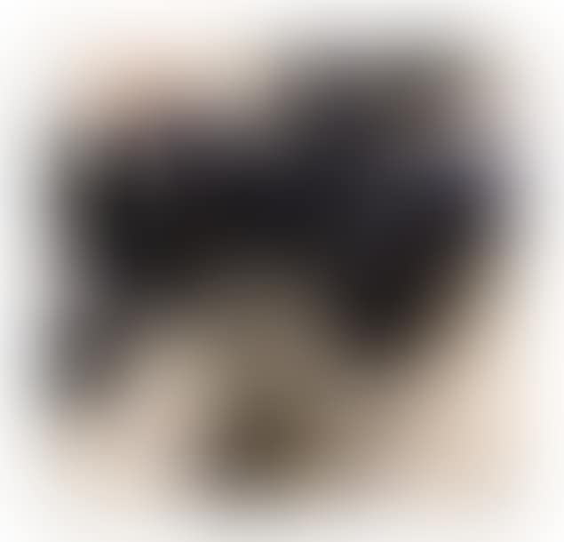 F5 (preview)