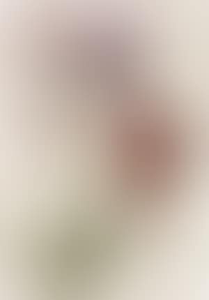 Three parrot tulips (preview)