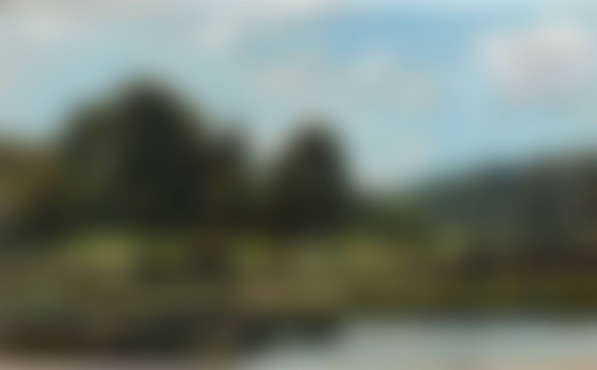 A Meadow in the Bourbonnais: Morning (preview)