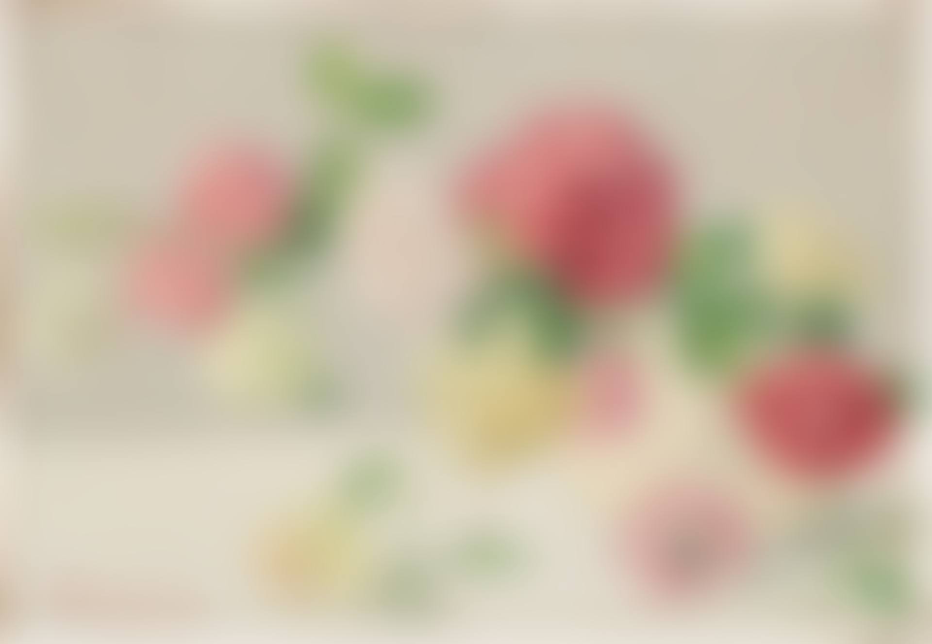 Branche de roses (preview)