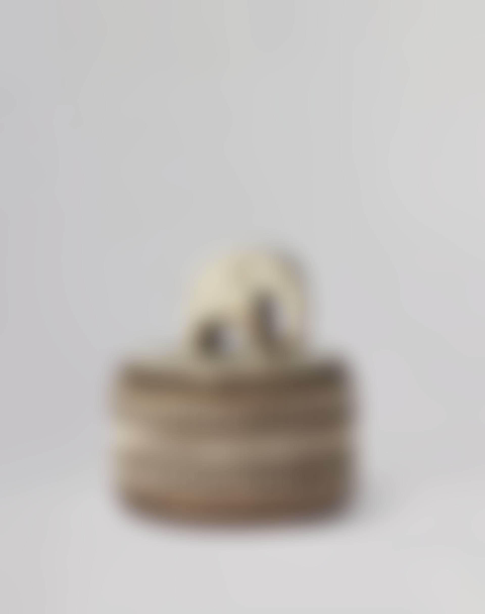 Covered Vase (preview)