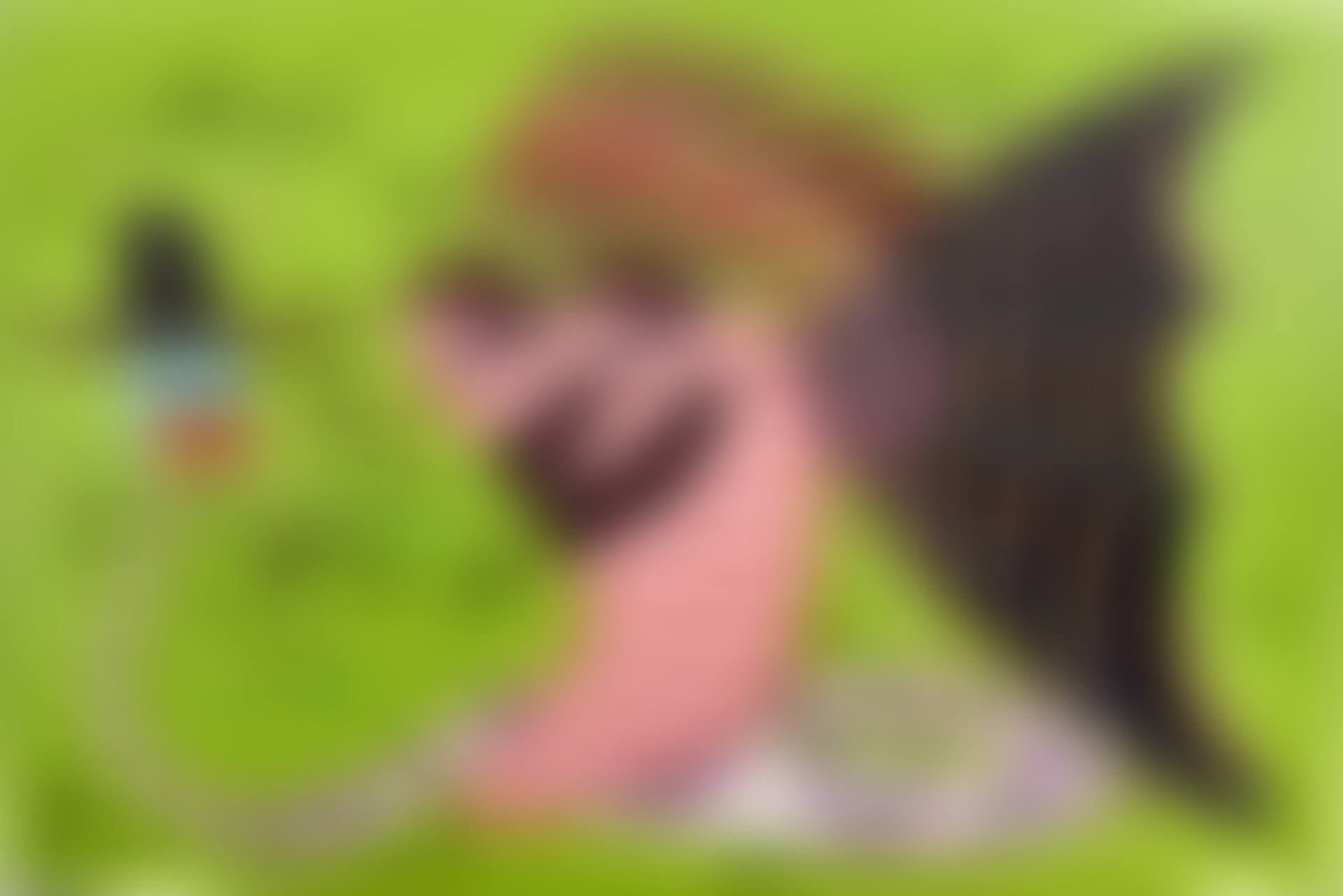 Untitled (preview)