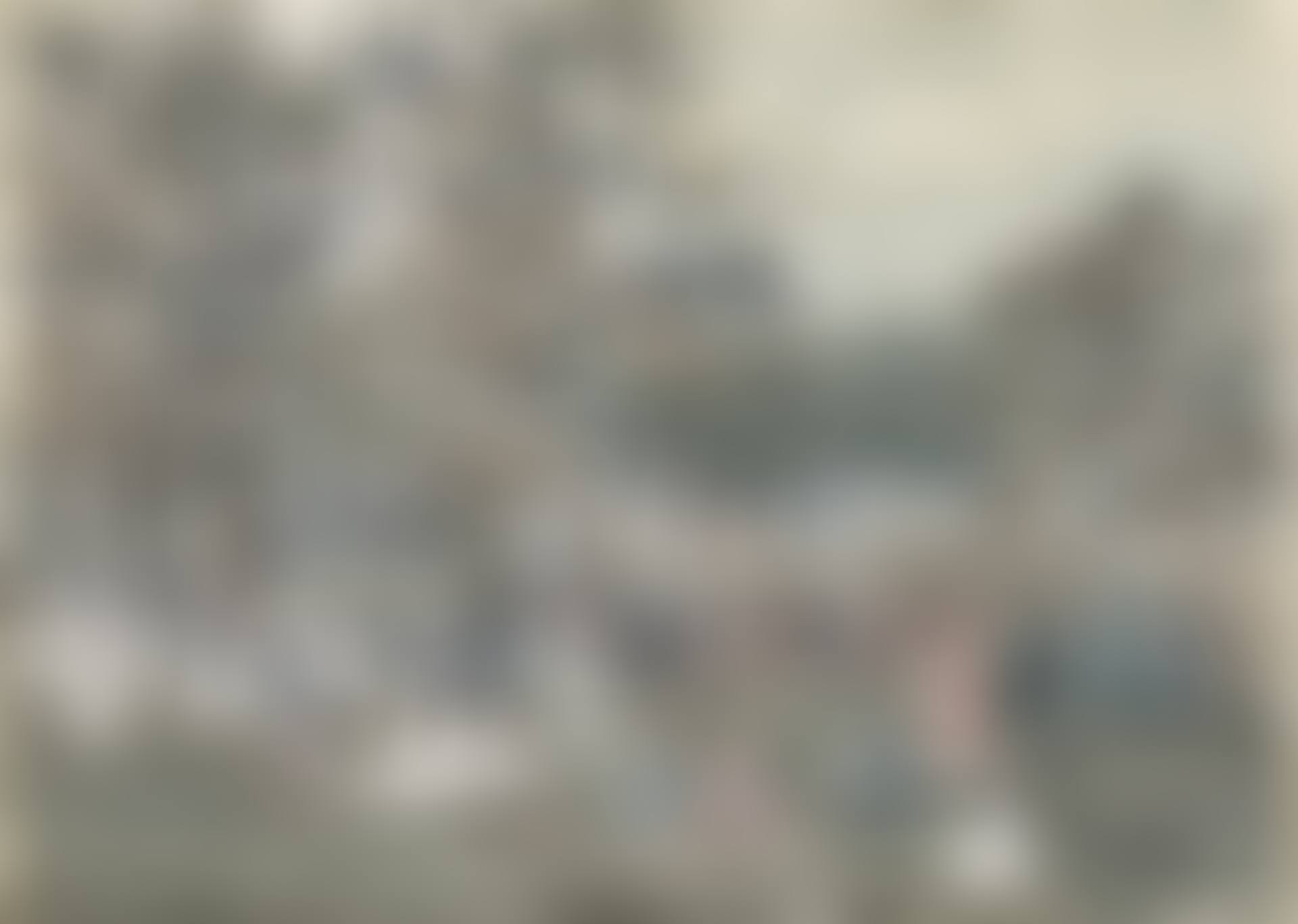 Central Park (preview)