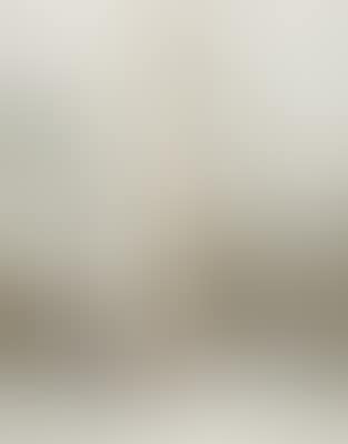 "Lower Manhattan Packed Building, 20 Exchange Place, Project for New York" (preview)