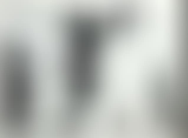 "Visite à L"Atelier" (preview)