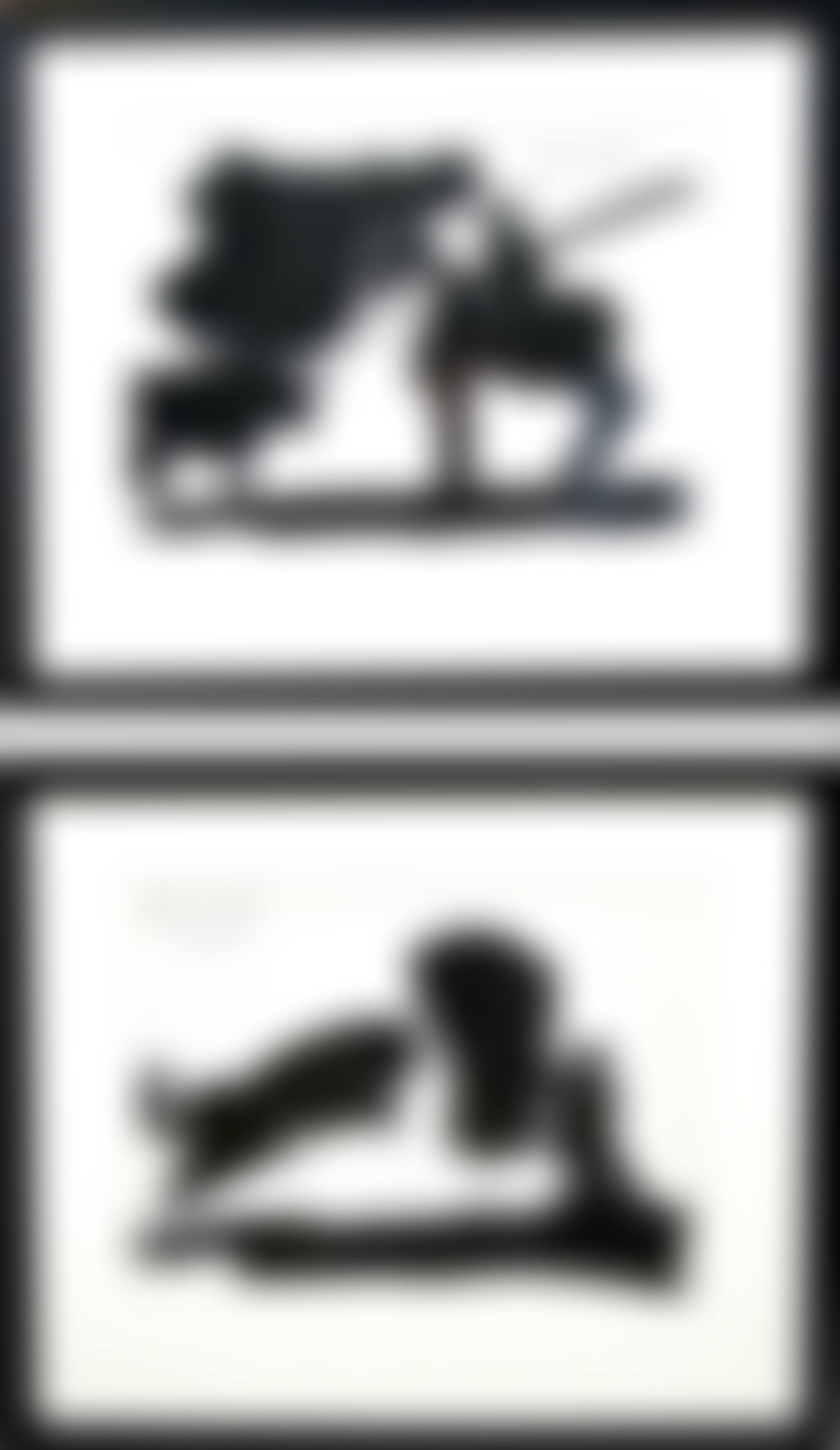 pair of mono-color photo lithographs (preview)