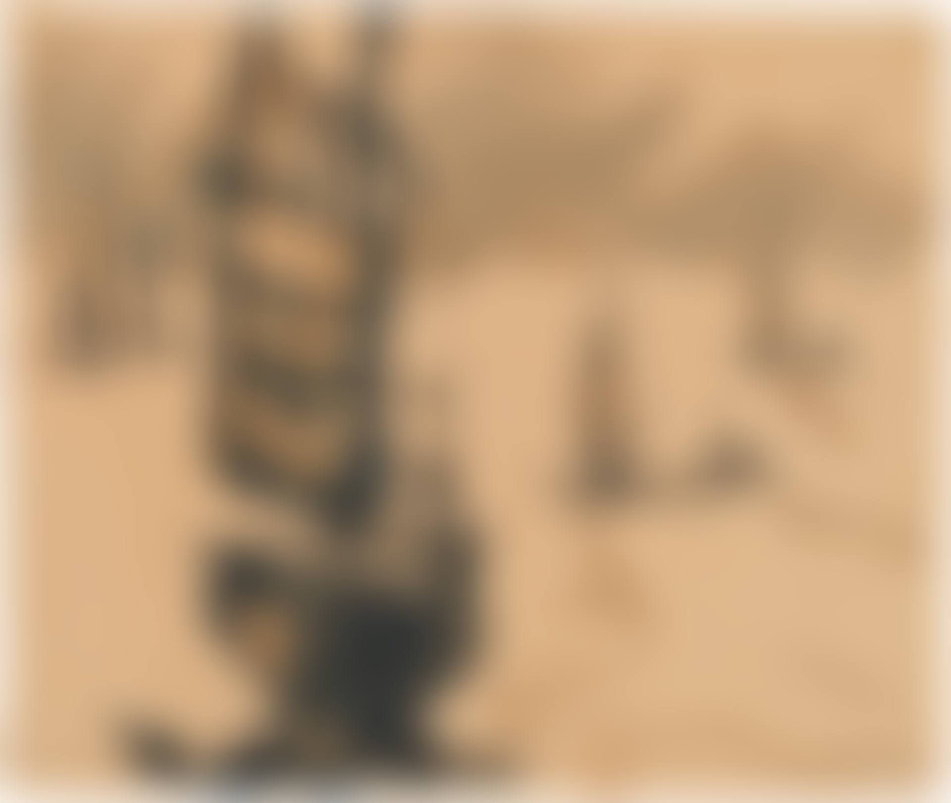 Dschunken (Junk Boats) (preview)