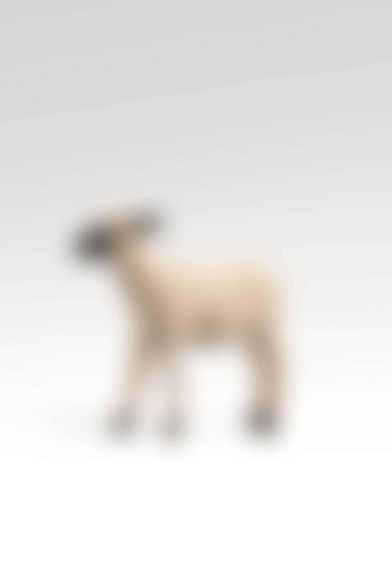 Agneau , from the Nouveaux Moutons series (preview)