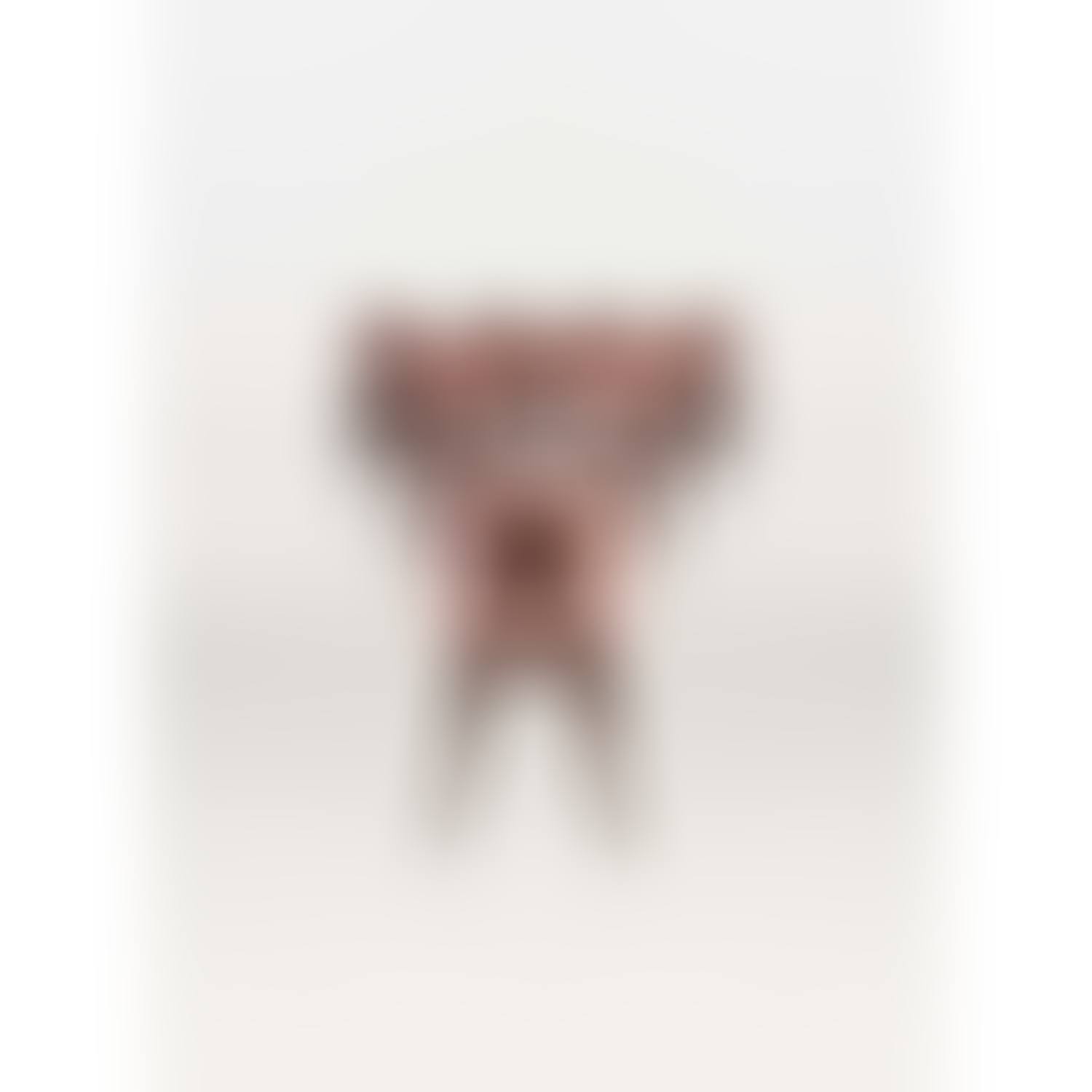 Model S12; Set of ten chairs (preview)