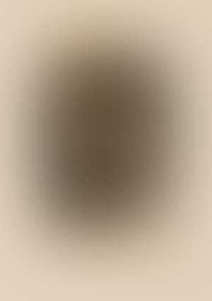 Alex Magny Expose 7 Tableaux Majeurs (preview)