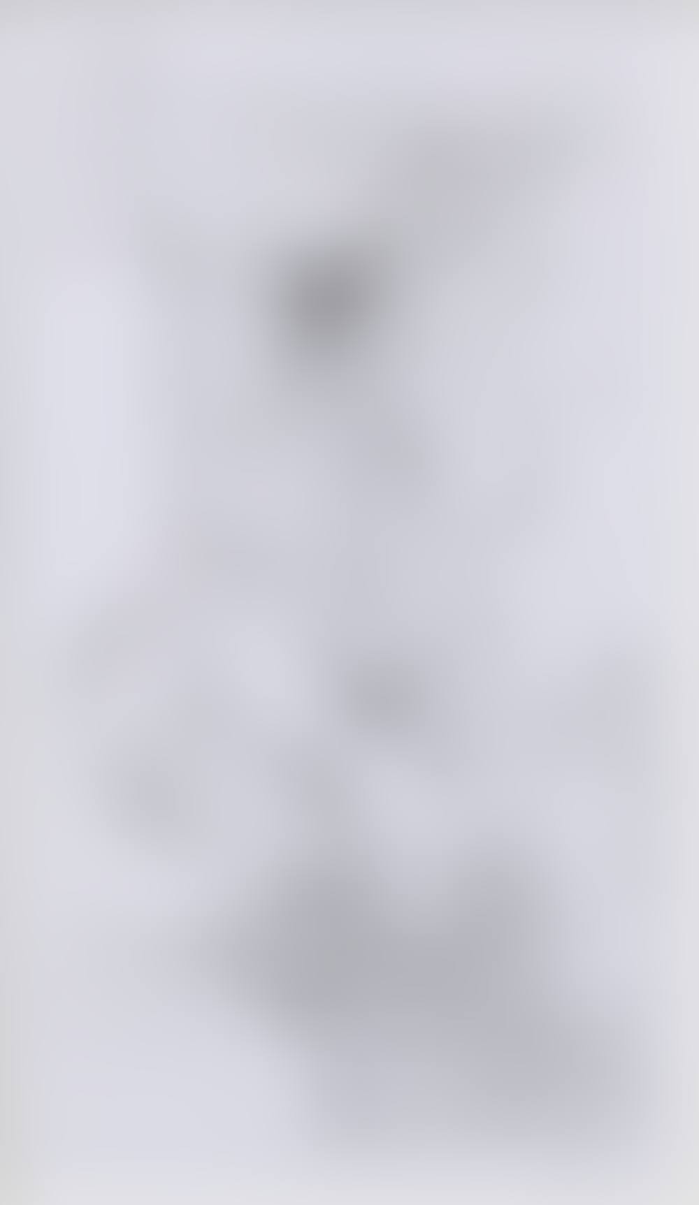 OHNE TITEL (UNTITLED) (preview)