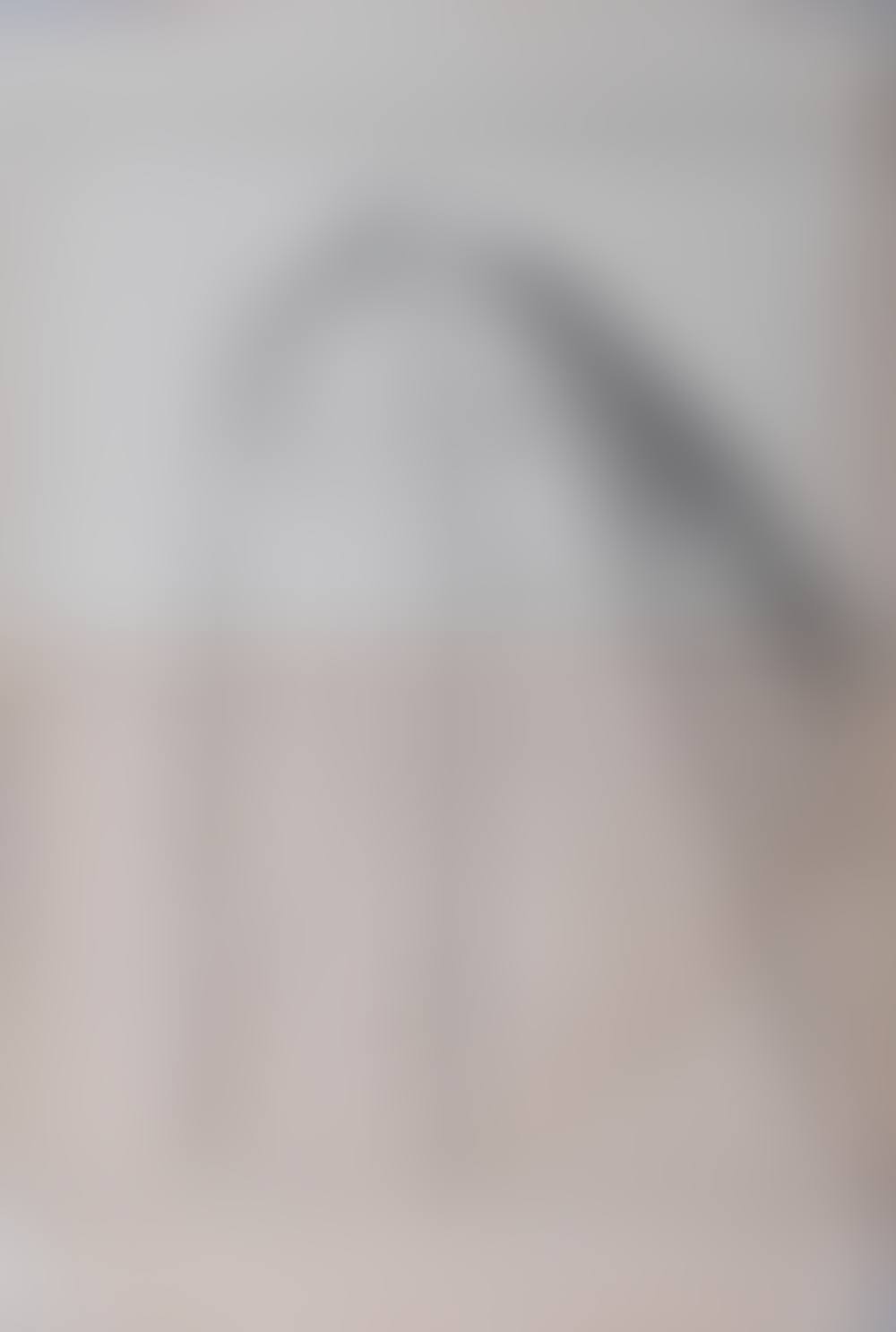 WOMAN WITH A VEIL (preview)