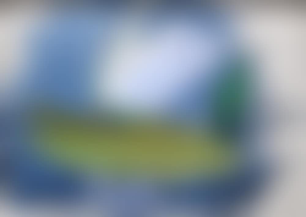 WATER LILY (preview)