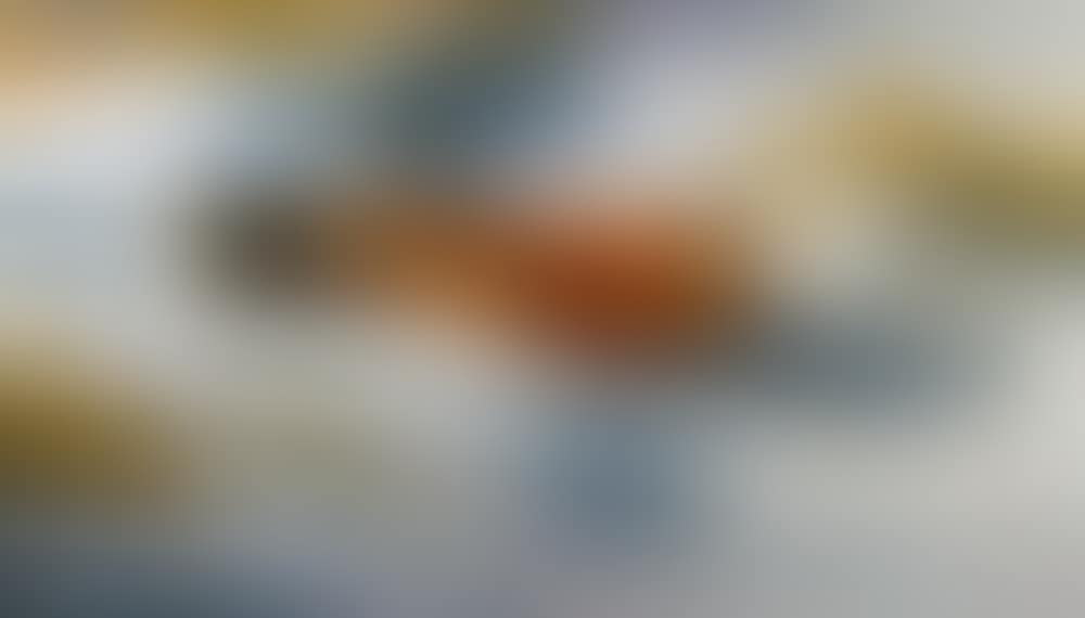 FOX (preview)