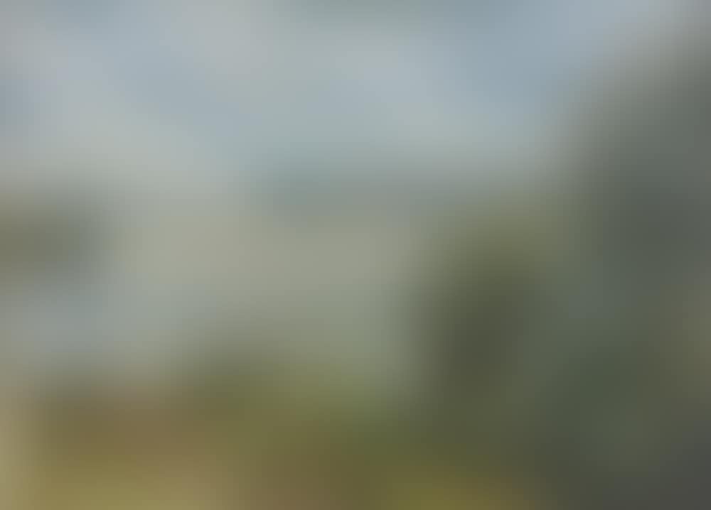 SUMMER DAY ON THE VOLKHOV (preview)