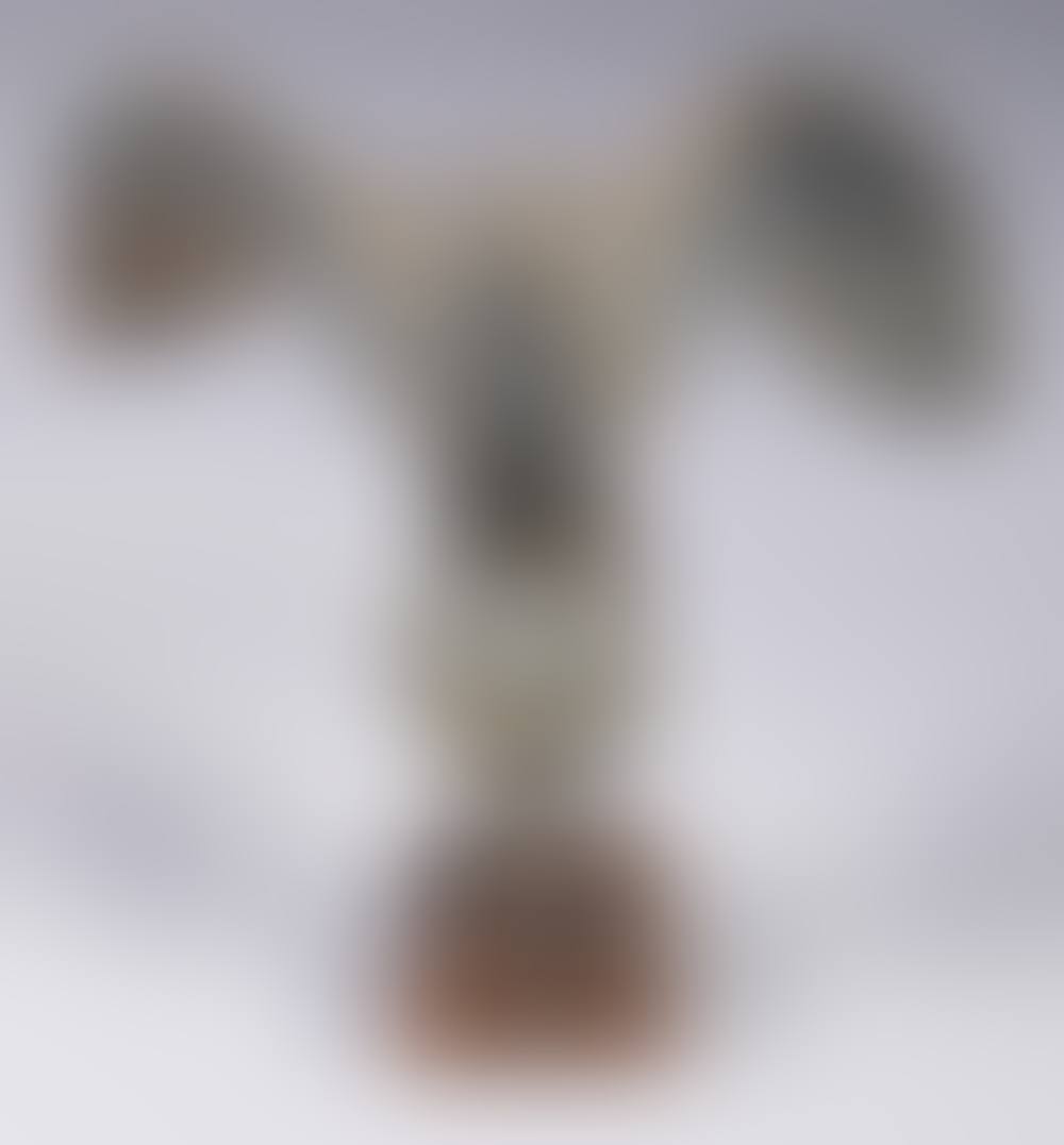 AMERICAN ZINC SPREAD WING EAGLE (preview)